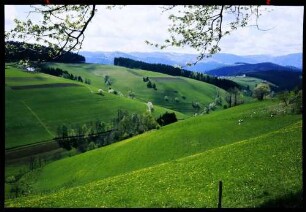 St. Märgen: von der St. Märgener Straße gegen Feldberg bei St. Märgen