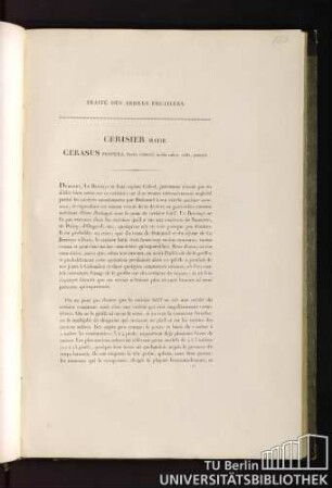 Traité des arbres fruitiers. Cerisier hatif. Cerasus propera, fructu rotundo, medio rubro, acido, praecoci.