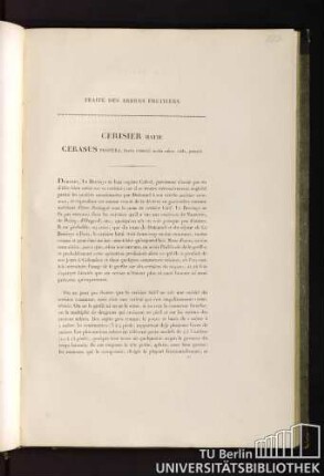 Traité des arbres fruitiers. Cerisier hatif. Cerasus propera, fructu rotundo, medio rubro, acido, praecoci.