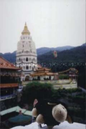 Plüschschaf vor einer asiatischen Tempelanlage (Altersgruppe 14-17)