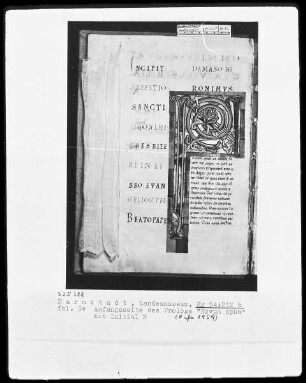 Evangeliar, angeblich aus Sankt Gereon in Köln — Initiale N(ovum opus), Folio 5verso