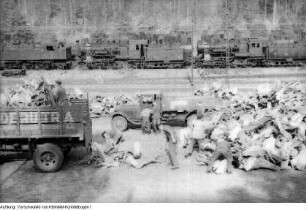 Dresden. Stukenroden für die frierende Bevölkerung im Winter 1946/47, 1947