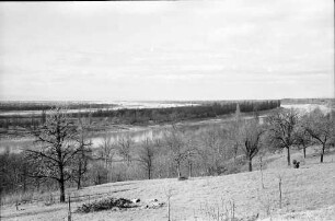 Rheinweiler: Rheinseitenkanal bei Rheinweiler