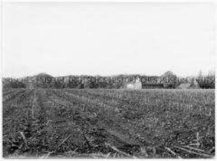 Blick auf ein abgeerntetes Maisfeld, im Hintergrund ein Haus (Altersgruppe 18-21)