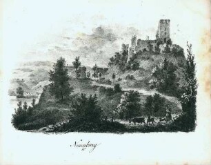 [Burgruine] Neuenburg [im Thurgau]