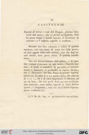 Capitolo VII