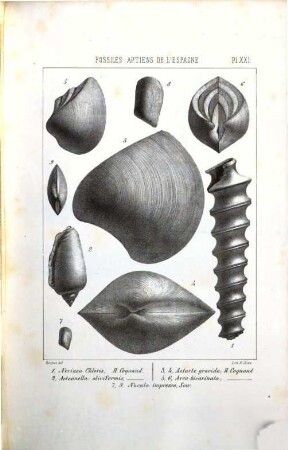 Monographie paléontologique de l'étage aptien de l'Espagne : par H. Coquand, Professeur de Géologie et de Mineralogie. Atlas, Atlas