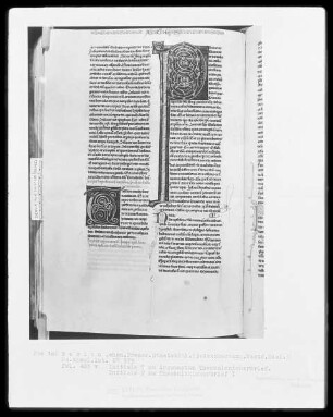 Heisterbacher Bibel — Initialen T und P, Folio 485verso