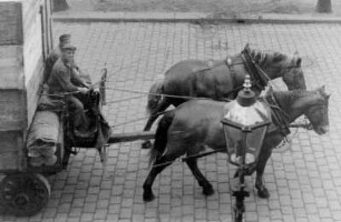 Dresden, Pferdefuhrwerk vor dem Güterbahnhof