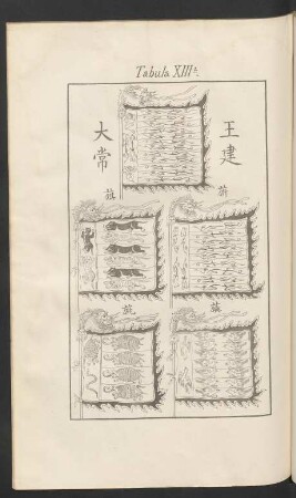 Tabula XIIIa.