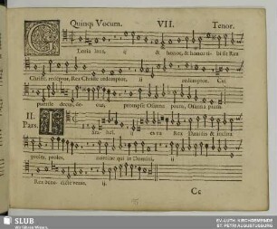 VII. Gloria laus et honor
