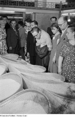 Besucher mustern ausgestellte Nahrungsmittel der indischen Sektion auf der Leipziger Herbstmesse 1954