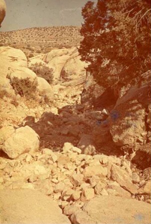 Nördl. Wadi [nach] W-O
