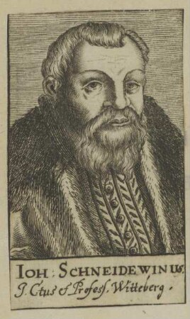 Bildnis des Iohann Schneidewinus