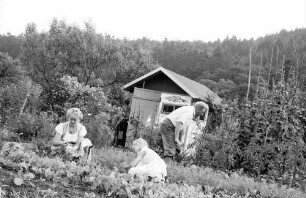 Freiburg: Familie arbeitet im Schrebergarten