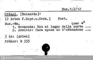 Ottani, Bernardo