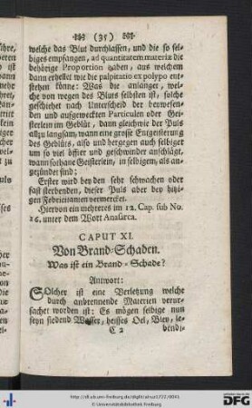 Caput XI. Von Brand-Schaden.