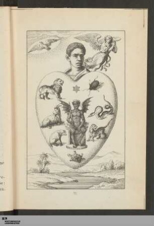 Tafel VII