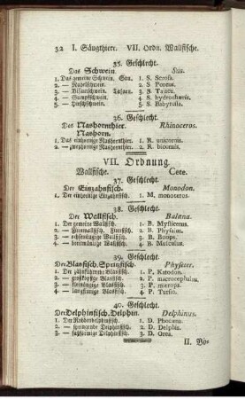 VII. Ordnung. Wallfische.