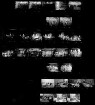 MSF 72 - Ausstellung "Motor, Sport und Ferien", 29.01.-06.02.1972, Messe Stuttgart-Killesberg (20-21)