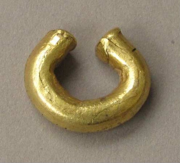 Goldnasenring