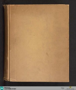 Physica s. philosophia naturalis - Cod. Ettenheim-Münster 403