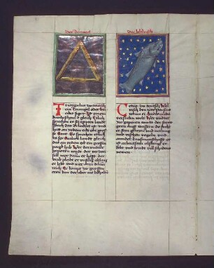 Sternbilder: (1) Dreieck (Triangulum); (Walfisch (Cetus)