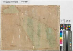 Dörenthe (Ibbenbüren) - Saerbeck (Saerbeck) strittige Grenze am Hackthun (1796) 100 Ruten = 6,05 cm 45 x 57 kol. Zeichnung (Angermann) KSM Nr. 77