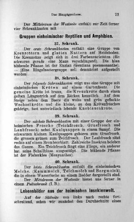 Gruppen einheimischer Reptilien und Amphibien.