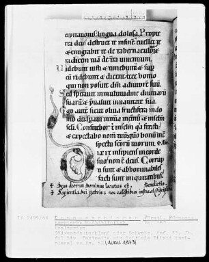 Hs.180 & Psalterium & fol 51v