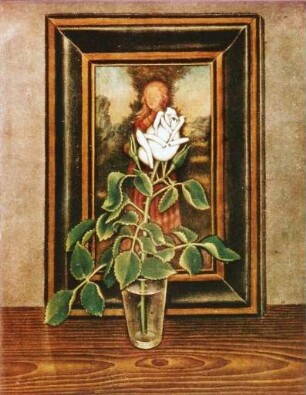 Weiße Rose im Glas