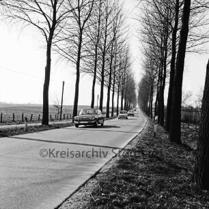Großensee: Pappelallee: darauf Pkws: links Wiesen: rechts Büsche