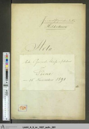 Peine: Visitationsakten
