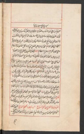 Šarḥ kalam an-nawābiġ