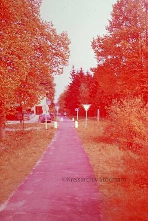 Lütjensee: Fahrradweg
