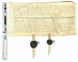 Hermann Lam, Lempgens Hannes seligen Sohn, verkauft der Stadt Siegen ein Stück Feld "zur leymen Kutten gelegen hinter sent Johns in der auwen".