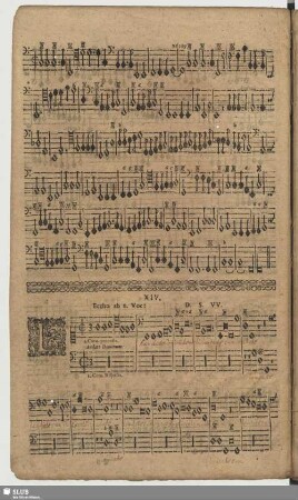 XIV. Laudate Dominum de caelis