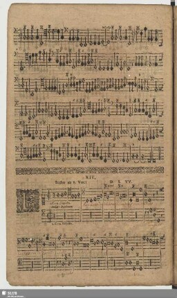 XIV. Laudate Dominum de caelis