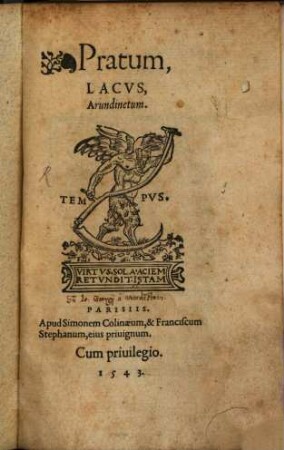 Pratum lacus, arundinetum