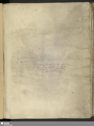 Herbarium in Batavia pictum. Tom. I. - Mscr.Dresd.B.64