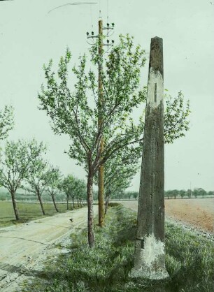 Distanzsäule : Köttewitz. Postmeilensäule (1729) an der Alten Dresden-Teplitzer Poststraße südöstlich vom Ortsausgang