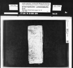 Gültbuch des Kastners zu Ellwangen (über Einnahmen und Ausgaben)