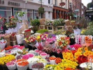 Blumenstand Anfang April an der Grafton-Street im Zentrum von Dublin