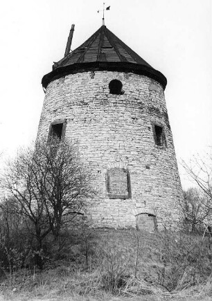 Dresden-Leutewitz. Leutewitzer Windmühle, Turmholländer, Baujahr 1839, Steinbacher Straße 56