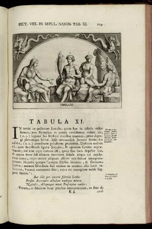 Tabula XI. - XV. [mit Abbildungsbeschreibung]