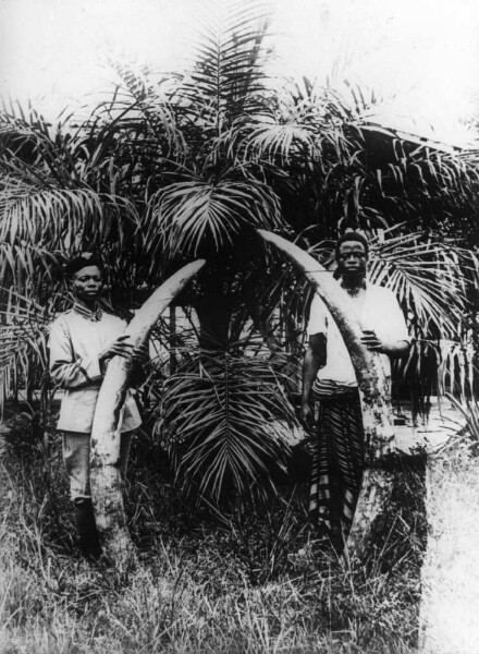 Soldiers with big elephant teeth