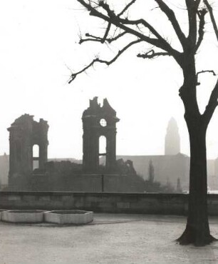 Dresden-Altstadt. Silhouetten. Blick von der Brühlschen Terrasse mit Linde auf die Ruine der Frauenkirche und den Rathausturm