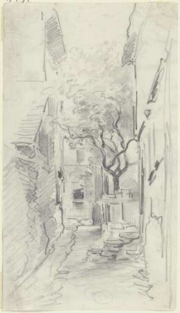 Dorfstraße mit Zaun und Baum
