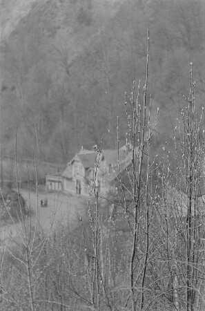 Ansicht knospender Zweige, im Hintergrund ein Haus im Tal