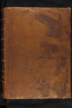 Pars 2: Bd. 2: Libri historiales et sapientiales : Ms. Diez. C fol. 64